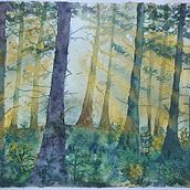 Mein Abschlussprojekt für den Kurs: Verträumte Aquarell-Landschaften: Halte Licht fest Ein Projekt aus dem Bereich Malerei und Aquarellmalerei von Sylvia - 09.11.2024