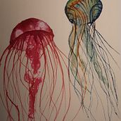 Twee kkwallen. Watercolor Painting project by Mariet van de Waarsenburg - 11.12.2024