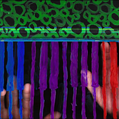 "The Frog's Song" by Music by Gestalt - Stop Motion Music Video. Animation, and Stop Motion project by Danielle - 11.13.2024