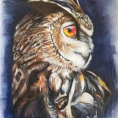Dibujo de Búho a colores. . % Deswer (DWR) tarafından hazırlanan Geleneksel illüstrasyon, Çizim, Gerçekçi Çizim, Ve Renkli Kalem Çizimi projesi - 03.12.2021