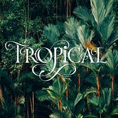 My project for course: Expressive Lettering with Swashes and Flourishes. Un proyecto de Caligrafía, Lettering digital, H, lettering y Lettering de Sandra Brezina - 14.11.2024