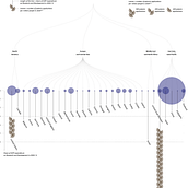My project for course: Creative Data Visualization for Narrative Designs. Un progetto di Graphic design, Infografica, Design dell’informazione e Design interattivo di Pedro Reis - 14.11.2024