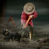 Mi proyecto del curso: Collage digital en Photoshop: composición y efectos visuales. Un proyecto de Collage, Composición fotográfica, Fotografía, Fotografía artística, Fotomontaje y Retoque fotográfico de camila hernandez - 14.11.2024