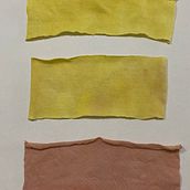 Mi proyecto del curso: Prendas naturales: diseño sostenible y tintura botánica. Un progetto di Artigianato, DIY, Textile Design e Tintura tessile di Monica Palma - 15.11.2024