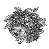 Elderberry Hedgehog. Ink Illustration project by Megan Elphick - 11.15.2024