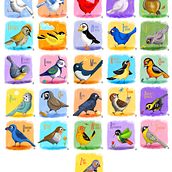 Birds A-Z. Un progetto di Illustrazione digitale di Kim Hyndman - 15.11.2024