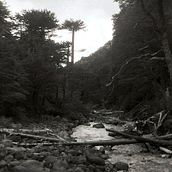 Mi proyecto del curso: Revelado analógico en blanco y negro. Photograph, Fine Arts, and Film Photograph project by Sofi Leiva Tapia - 11.16.2024