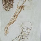 Mi proyecto del curso: Dibujo de retrato clásico: el método del Renacimiento. Desenho artístico, Desenho, Artes plásticas, Desenho de retrato, Desenho realista, e Esboçado projeto de Mariela Ambrosis - 14.11.2024