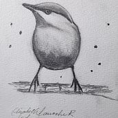Mi proyecto del curso: Acuarela artística para ilustración de aves. Un progetto di Illustrazione tradizionale, Pittura ad acquerello, Disegno realistico e Illustrazione naturalistica di Elizabeth Larroche Rengifo - 17.11.2024
