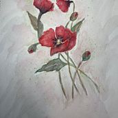 Botanical Sketchbooking: A Meditative Approach - The Greek Myth about the Poppy . Membuat sketsa, Menggambar, Ilustrasi tradisional, Ilustrasi Botani, Lukisan Cat Air, Dan Buku sketsa proyek oleh Ioanna Patroni - 11.17.2024