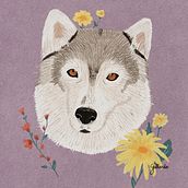 Husky illustration. Un projet de Illustration traditionnelle et Illustration jeunesse de Maria Gallardo - 17.06.2024