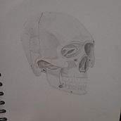 Mi proyecto del curso: Dibujo anatómico con lápiz de grafito para principiantes. Un projet de Dessin, Dessin anatomique, Dessin au cra, on, Dessin réaliste , et Beaux Arts de fiorella_grasso - 18.11.2024
