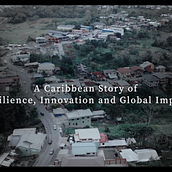 A documentary on the history of Airlink Communications, an internet and cable provider based in the Caribbean. CEO and founder, Mr. Keenan Singh gives you the inside scope on all the hurdles he had to cross to have a successful company where he is today.. Projekt z dziedziny Kino, film i telewizja użytkownika Nicholas Winter - 16.05.2023