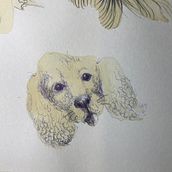 My project for course: Sketchbook Illustration with Pen: Embracing Mistakes. Drawing, Ink Illustration, Sketchbook, and Sketching project by Tatiana - 11.20.2024