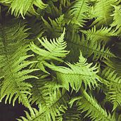 freezing time just by the way. Fotografia projeto de anastroffek - 21.11.2024