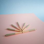 CigarroVerde. Un projet de Photographie de Alex Al - 22.11.2024