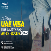 14 Days UAE Visa Fees, Validity, and Apply Process 2025. Un projet de Informatique de uaevisa online - 29.11.2024