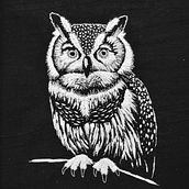 Mi proyecto del curso: Dibujo con hilo. Drawing, Embroider, Fiber Arts, Traditional illustration, Realistic Drawing, and Textile Design project by valeriagrabar - 11.26.2024