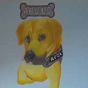 Mi proyecto del curso: Retratos de Mascotas en Lápices de Colores. Traditional illustration, and Naturalistic Illustration project by Daniel Andrés Prada Carvajal - 11.25.2024