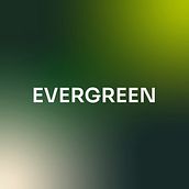 Evergreen. Un projet de Design , UX / UI, Br, ing et identité , et Design d'interaction de hattieeglinton - 13.11.2024