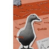 cool duck. Collage, Photographic Composition, Photograph, Fine-Art Photograph, Photomontage, and Photo Retouching project by alysonutiel - 11.29.2024