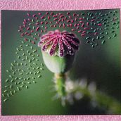 Mi proyecto del curso: Introducción al fotobordado: crea imágenes con textura. Projekt z dziedziny DIY,  Haft, Papercraft, Fotografia, Wzornictwo tekst i liów użytkownika Silvana Lanchez - 27.11.2024