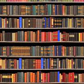 Mi proyecto del curso: Introducción a la programación con Python . % jbolivarronajo tarafından hazırlanan Programlama, Ve Web Geliştirme projesi - 12.16.2024