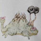 criaturas de otro mundo. Un proyecto de Dibujo, Ilustración naturalista				, Dibujo a lápiz, Sketchbook y Pintura a la acuarela de Priscila Pellegrini - 03.12.2024