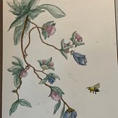 My project for course: Illustrating Nature with Watercolor and Pen. Un proyecto de Ilustración botánica, Dibujo, Bellas Artes, Ilustración tradicional, Pintura y Pintura a la acuarela de Tony Araiza - 03.12.2024
