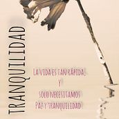 Mi proyecto del curso: Técnicas de composición para diseño gráfico . Design grafic de roxanafordramos - 12.23.2024