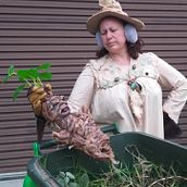 Professor Sprout costume. Arts, Crafts, Costume Design, and Sculpture project by Sherilee Nickels - 12.04.2024
