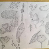 Mi proyecto del Curso dibujas criaturas de otro mundo . Drawing, Naturalistic Illustration, Pencil Drawing, Sketchbook, and Watercolor Painting project by Vanesa Gomes Da Costa - 12.04.2024