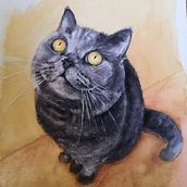 Portrety kotów. Realistic Drawing, Traditional illustration, Naturalistic Illustration, and Watercolor Painting project by Anna Sokół - 12.05.2024