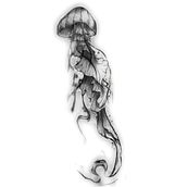 Sketches . Un progetto di Design di Zaidel Schimidt - 05.12.2024