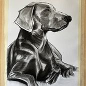 Retrato animal . Desen, Ilustrație cu cerneală, Ilustrație naturalistă și Arte plastice de reinadanzante - 12.05.2024