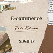 E-commerce. Web Development, Web Design, E-commerce, Digital Marketing, and Business project by Davis Andres Redrovan Cayo - 12.07.2024
