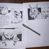 Ilustración de fauna. Un proyecto de Dibujo, Ilustración con tinta, Sketchbook y Bocetado de alexbeamonte23 - 08.12.2024
