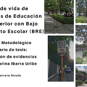 Capítulo metodológico. Communication, Design Management, Information Design, Management, Productivit, and Presentation Design project by Jocabed - 12.09.2024