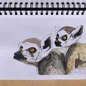 Mi proyecto del curso: Técnicas experimentales de acuarela para principiantes Ein Projekt aus dem Bereich Traditionelle Illustration, Aquarellmalerei, Bildende Künste und Naturalistische Illustration von darioporras - 10.12.2024