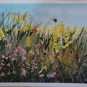 Autumn Meadow. Traditional illustration, Naturalistic Illustration, and Painting project by Catherine Hackett - 12.10.2024