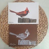 Cardenal rojo en positivo y negativo . Un progetto di Illustrazione botanica, Disegno, Belle arti, Illustrazione tradizionale, Illustrazione naturalistica, Pittura e Pittura ad acquerello di Nathalia Freire Iturriaga - 10.12.2024