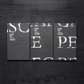 Brochure "15 Declinations". Un progetto di Graphic design di Stefano Menconi - 13.12.2024
