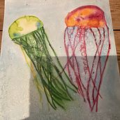 Jellyfish. Un projet de Beaux Arts, Peinture, Illustration traditionnelle , et Aquarelle de Jacqueline Hewitt - 13.12.2024