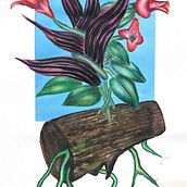 Arte botánico contemporáneo. Traditional illustration, Botanical Illustration, Fine Arts, Gouache Painting, and Watercolor Painting project by contactgutierrezcampos - 12.22.2024