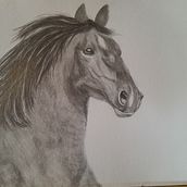 My project for Cole's Course. Drawing, Fine Arts, Naturalistic Illustration, Pencil Drawing, and Realistic Drawing project by rjmarley2 - 12.23.2024
