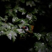 Experimento de lente. Photograph project by David Portal - 12.24.2024