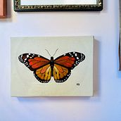 Final project - Realistic Butterfly. Un projet de Broderie, Illustration traditionnelle , et Design textile de speedyandthecud - 24.12.2024