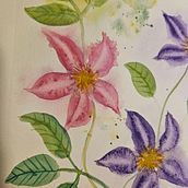 Watercolor Clematis. Botanical Illustration, Traditional illustration, Painting, and Watercolor Painting project by Anna Vodová - 12.25.2024