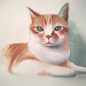 Mi proyecto de curso "Mixeta" . Un projet de Illustration traditionnelle, Aquarelle, Beaux Arts et Illustration naturaliste de Mercè Campo Andreu - 26.12.2024