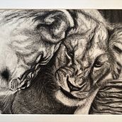 Lions. Fine Arts, and Drawing project by magdalena_maria - 12.26.2024